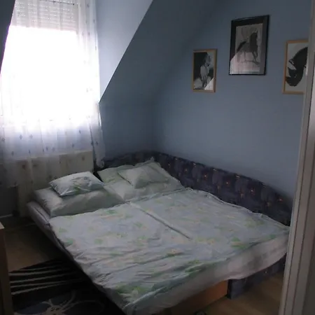 Apartment In Siofok/balaton 19656